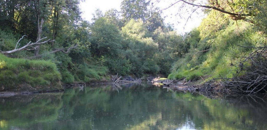 Slow Running Yamhill River in August