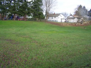 Site of Front St. dig