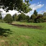 Woodburn Dig Site