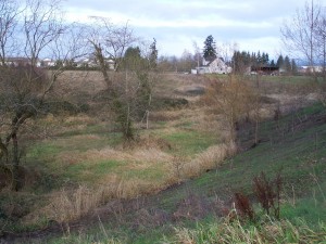 Site of Legion Park digs