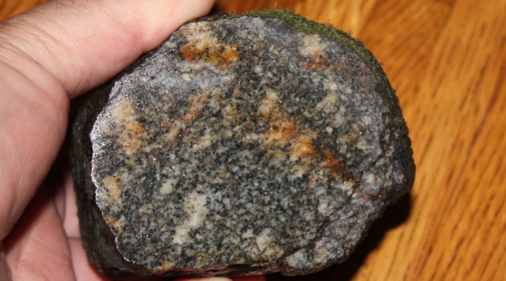 Granite Cobble Carried From Canada by Glaciation